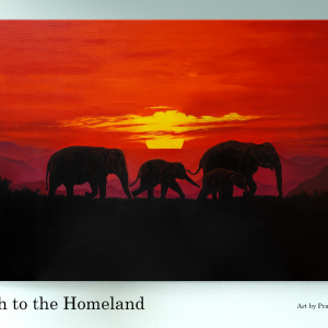 Rush to the Homeland