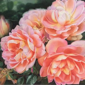 Never Enough Roses